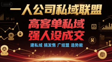 一人公司私域联盟,高客单私域,强人设成交,建私域 搞发售 广结盟 造势能昊趣阁资源网昊趣阁资源网