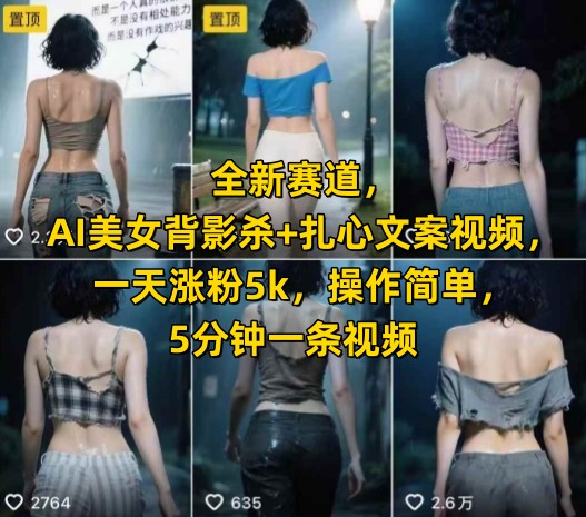 全新赛道,AI美女背影杀+扎心文案视频,一天涨粉5k,操作简单,5分钟一条视频昊趣阁资源网昊趣阁资源网