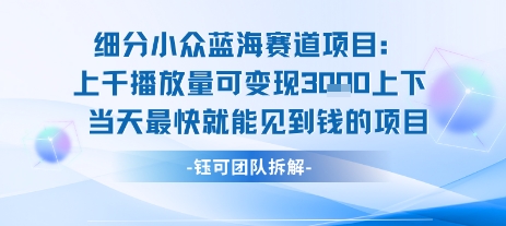 小众蓝海赛道项目:当天变现1k+适合新手操作 +适合长期玩昊趣阁资源网昊趣阁资源网