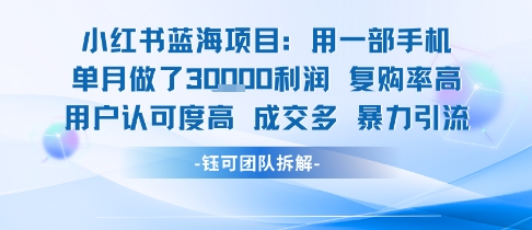 小红书蓝海项目,一部手机单月做了3W利润,小白也能月入过1W用户认可度高成交多昊趣阁资源网昊趣阁资源网