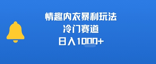 情趣内衣暴利玩法,冷门赛道,日入1k+昊趣阁资源网昊趣阁资源网