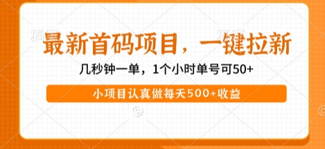 最新首码项目,操作最简单,收益高,一键拉新,1个小时单号可50+,小项目认真做每天5张+收益【揭秘】昊趣阁资源网昊趣阁资源网