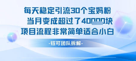 每天稳定引流30个人 当月变成超过了4个W项目流程非常简单适合小白昊趣阁资源网昊趣阁资源网
