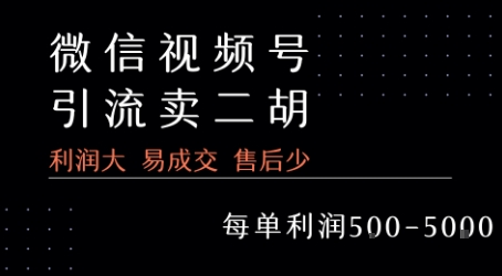 视频号卖二胡教程,利润大 易成交 售后少,一单利润5张+昊趣阁资源网昊趣阁资源网