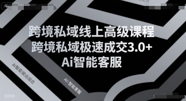 跨境私域线上高级课程,跨境私域极速成交3.0+Ai智能客服昊趣阁资源网昊趣阁资源网