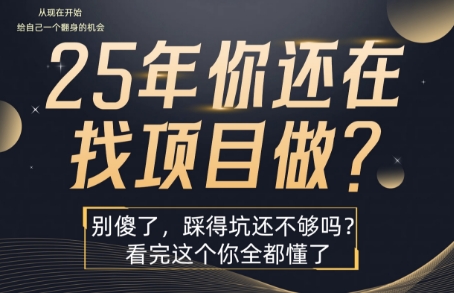 25年,你还在疯狂的找项目吗?别傻了,看完这个你都懂了【揭秘】昊趣阁资源网昊趣阁资源网