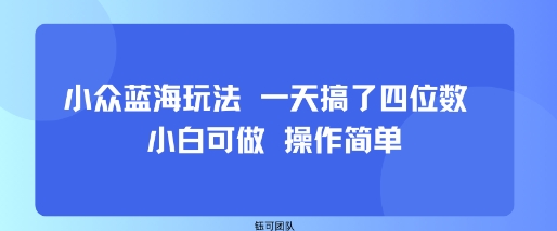 小众蓝海玩法 一天搞了四位数 小白可做 操作简单昊趣阁资源网昊趣阁资源网