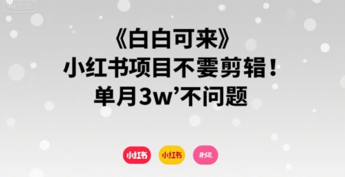 小白可来 小红书项目不需要剪辑 单月3w不是问题昊趣阁资源网昊趣阁资源网
