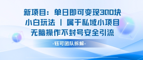 新项目单日即可变现3张的小白玩法无脑操作不封号安全引流昊趣阁资源网昊趣阁资源网