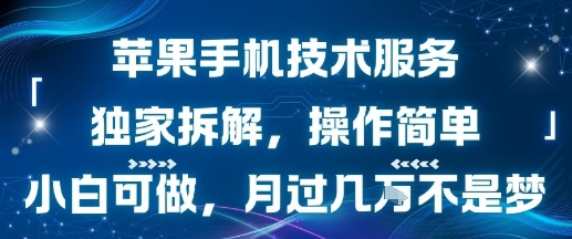 苹果手机技术服务，独家拆解，操作简单，小白可做，月过1W不是梦昊趣阁资源网昊趣阁资源网