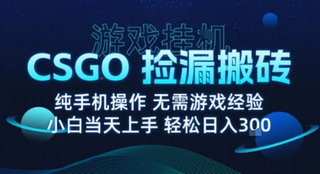 8月最新游戏搬砖，CSGO纯挂G，不需要玩游戏，实现真挂G，月入1W+【揭秘】昊趣阁资源网昊趣阁资源网