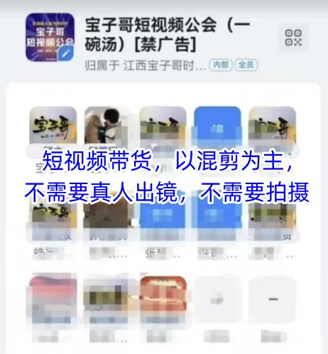 宝子哥头部团队短视频带货，以混剪为主，不需要真人出镜，不需要拍摄【更新9月】昊趣阁资源网昊趣阁资源网