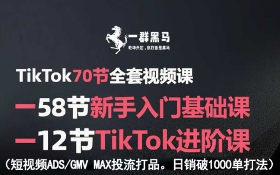 TikTok全套视频课，新手入门+进阶课，短视频ADS-GMV MAX投流打品，日销破1000单打法昊趣阁资源网昊趣阁资源网