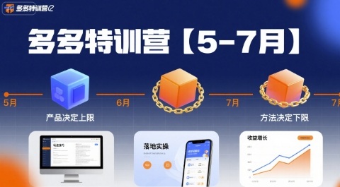 多多特训营，产品决定上限，方法决定下限，各种玩法技巧落地实操（更新）昊趣阁资源网昊趣阁资源网