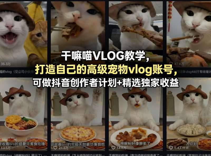 干嘛喵VLOG教学,打造自己的高级宠物vlog账号,可做抖音创作者计划+精选独家收益昊趣阁资源网昊趣阁资源网